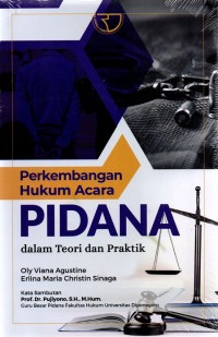 Image of Perkembangan Hukum Acara Pidana dalam Teori dan Praktik
