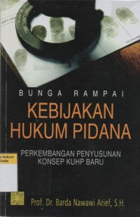 Bunga Rampai Kebijakan Hukum Pidana: Perkembangan Penyusunan Konsep KUHP Baru